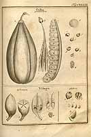  no thumbnail available