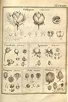  no thumbnail available