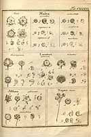  no thumbnail available