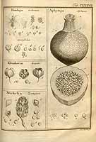  no thumbnail available