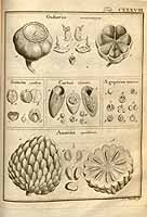  no thumbnail available