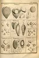  no thumbnail available