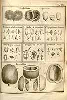  no thumbnail available