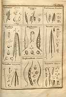  no thumbnail available