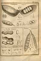  no thumbnail available