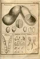  no thumbnail available