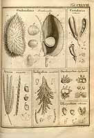  no thumbnail available