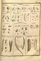  no thumbnail available