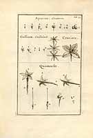  no thumbnail available