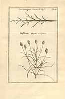  no thumbnail available