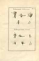  no thumbnail available