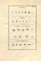  no thumbnail available