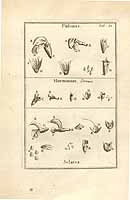  no thumbnail available