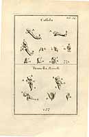  no thumbnail available