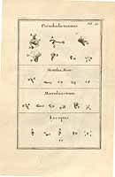  no thumbnail available