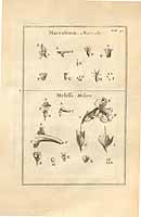  no thumbnail available