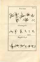  no thumbnail available