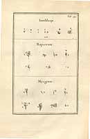  no thumbnail available