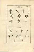  no thumbnail available