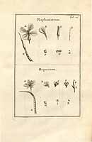  no thumbnail available