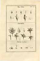  no thumbnail available