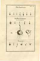  no thumbnail available