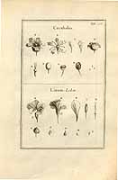  no thumbnail available