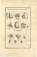  no thumbnail available