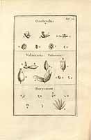  no thumbnail available