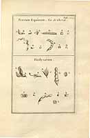  no thumbnail available