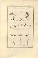  no thumbnail available