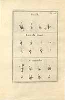  no thumbnail available