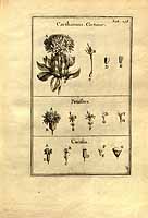  no thumbnail available