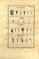  no thumbnail available