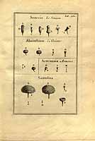  no thumbnail available