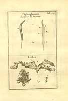  no thumbnail available