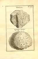  no thumbnail available