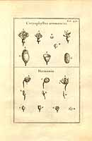  no thumbnail available