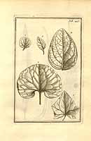  no thumbnail available