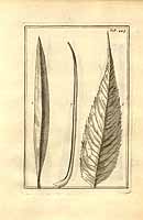  no thumbnail available