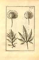  no thumbnail available