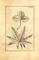  no thumbnail available