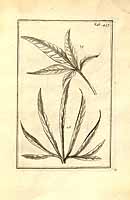  no thumbnail available