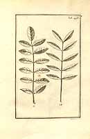  no thumbnail available