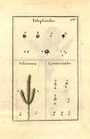  no thumbnail available