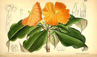  no thumbnail available