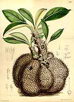  no thumbnail available