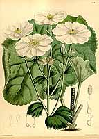  no thumbnail available