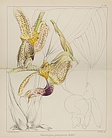  no thumbnail available