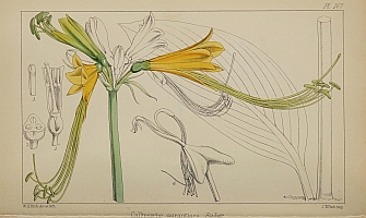  no thumbnail available